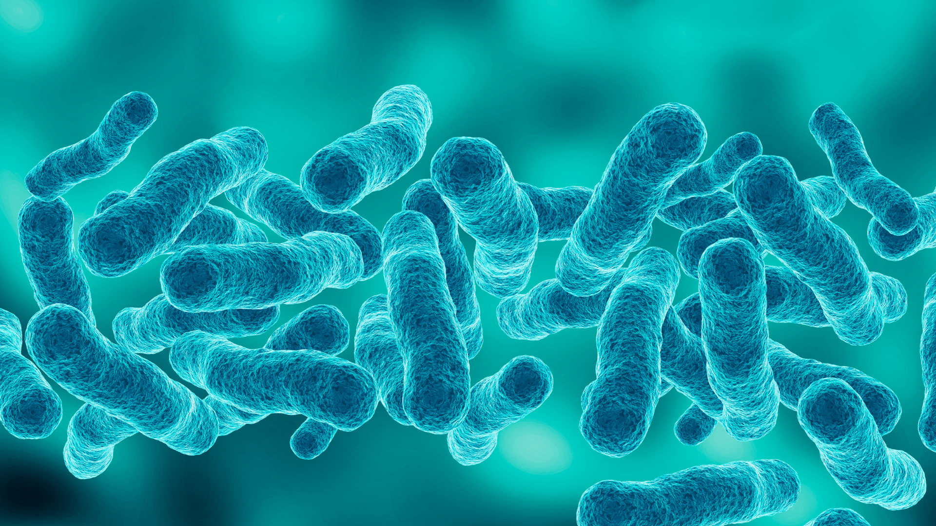 Finaliza el plazo para establecer el Plan de Prevención y Control de Legionella (PPCL).